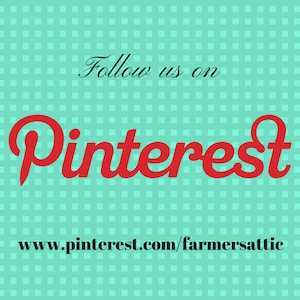 May include: Follow us on Pinterest, www.pinterest.com/farmersattic, a graphic with red text on a turquoise checkered background.