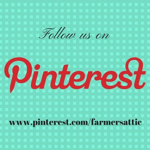 Pu&ograve; includere: Seguici su Pinterest, www.pinterest.com/farmersattic, una grafica con testo rosso su sfondo turchese con un motivo a griglia bianca.
