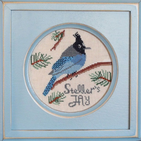 Counted Cross Stitch Pattern, Stellar's Jay, Bird Crush Club, Pillow Ornament, Pine Tree, Lindy Stitches, PATTERN ONLY