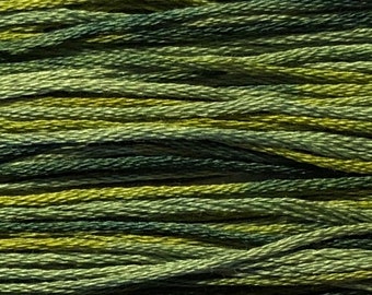 Weeks Dye Works, Lucky, WDW-4111, 5 YARD Skein, Hand Dyed Cotton, Embroidery Floss, Counted Cross Stitch, Embroidery, PunchNeedle
