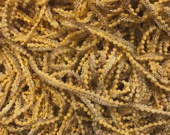 Pom Pom Trim, Sandy Gold, Lady Dot Creates, Pom Poms, Hand Dyed Pom Poms, Polyester Poms, Sewing Notion, Sewing Accessory, Sewing Trim