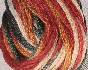 Valdani, 6 Strand Cotton Floss, M29, Countryside, Embroidery Floss, Variegated Floss, Hand Dyed Floss, Wool Applique, Punch Needle