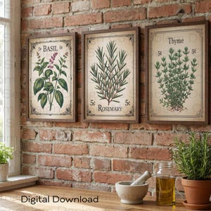 May include: Three framed botanical prints of herbs: basil, rosemary, and thyme. Each print features a vintage-style illustration with the herb's name and a price of 5 cents. The frames are dark brown, and the background is a rustic brick wall.