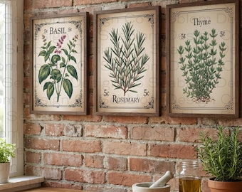 Vintage Herb Wall Art Set | Basil Rosemary Thyme Prints | Kitchen Gallery Wall | Culinary Herbs Poster | Restaurant Decor Digital Download
