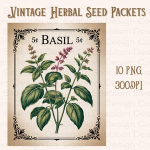 Peut inclure: Conception de sachet de graines d'herbes aromatiques vintage avec une illustration détaillée de plants de basilic aux feuilles vertes et fleurs violettes. Le texte "BASIL" est affiché, ainsi que le prix "5¢". Le design comprend des bordures décoratives et le texte "VINTAGE HERBAL SEED PACKETS".
