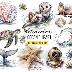 Ocean Creature Clipart | Watercolor Under-the-Sea pngs | Marine png bundle | Dolphin Sea Turtle Clipart | Sea Creature Clipart | Seashell