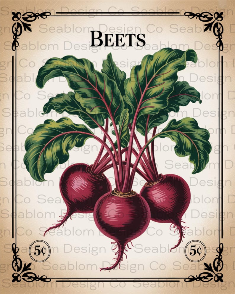 Vintage Kitchen Garden Seed Packet Pngs | Vegetable Gardening Clipart ...