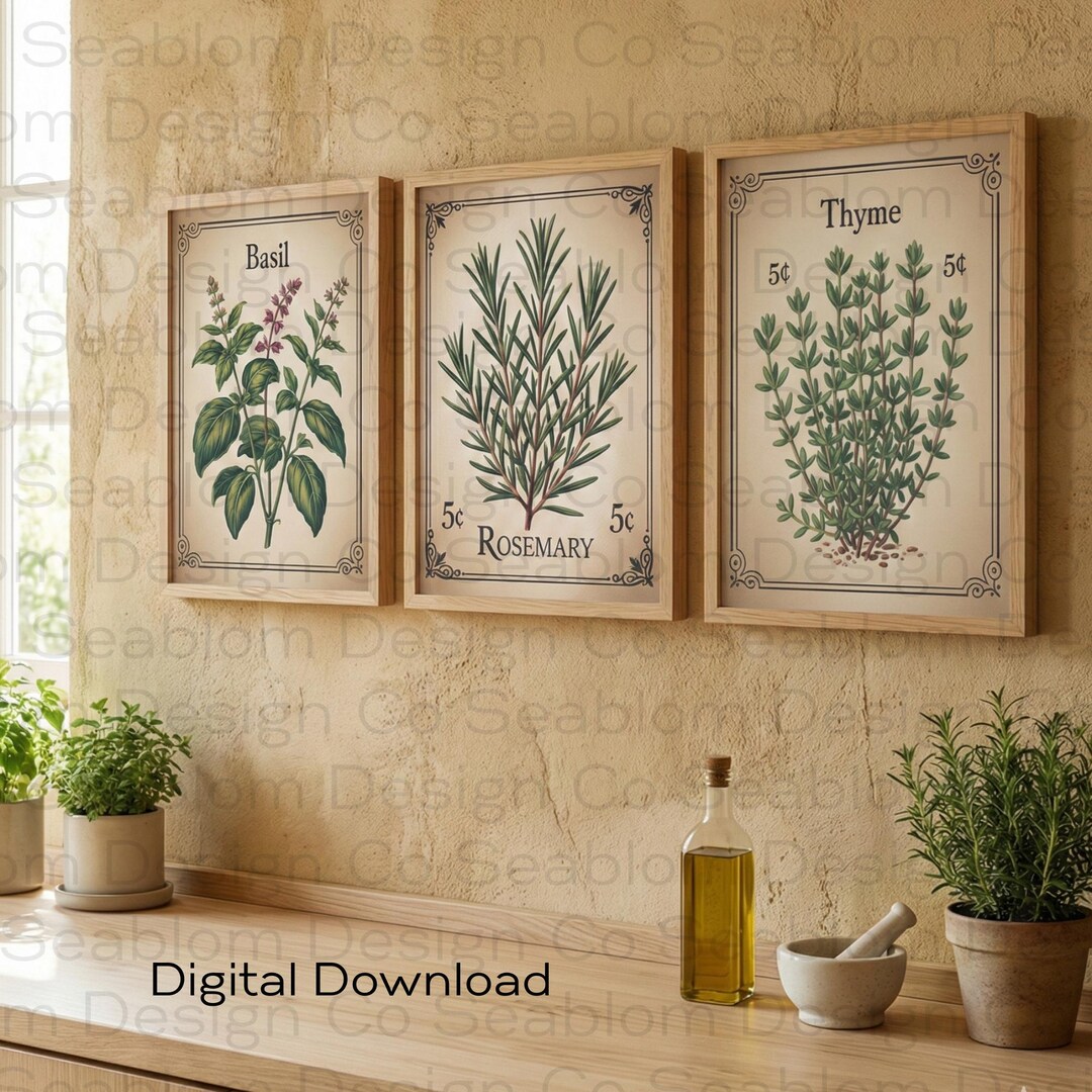 Vintage Herb Wall Art Set | Basil Rosemary Thyme Prints | Kitchen ...