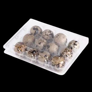 Jumbo Quail Egg Cartons