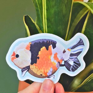 Ranchu Goldfish Vinyl Sticker – Waterproof Fish Decal for Laptops, Water Bottles & Cars, Cute Aquarium Lover Gift, Hand-Drawn Art