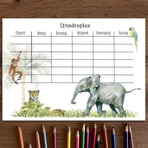 May include: A white schedule chart with the German title "Stundenplan" and a grid for daily planning. The chart features watercolor illustrations of a monkey, leopard, elephant, turtle, and parrot. Coloured pencils are arranged below.