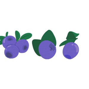 Blueberry Set Embroidery Design- Berries Embroidery Design- Fruits Embroidery- Blueberry with leaves Machine Embroidery Design Files -5Sizes
