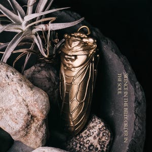 May include: A gold-colored, insect-shaped pendant with intricate details, resting on a bed of rocks and surrounded by greenery. The pendant has a loop at the top. The text "Silence in the Belly, Order in the Soul" is visible.