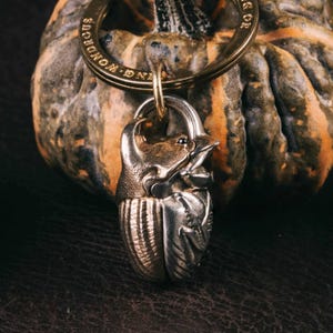 May include: A silver and gold-toned metal keychain pendant in the shape of a beetle. The pendant is attached to a gold-colored ring. The background features a pumpkin with orange and green hues.