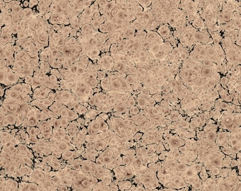 Handgemarmerd papier, schelppatroon, boekbandrestauratie, (48 x 68 cm 19 x 27 in) f083