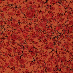 Papel rojo jaspeado a mano para restauración y encuadernación 48 x 67 cm 19 x 26 pulgadas Serie f737