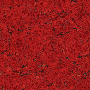 Papel rojo jaspeado a mano para restauración y encuadernación, patrón Stormont 48 x 67 cm 19 x 26 pulgadas Serie Oro f736