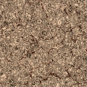 Papel marmoleado a mano para restauración y encuadernación, patrón Stormont 48 x 67 cm 19 x 26 pulgadas Serie f459