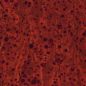 Rotes handmarmoriertes Papier zum Buchbinden und Restaurieren, Zebramuster 48 x 67 cm 19 x 26 in Serie f442