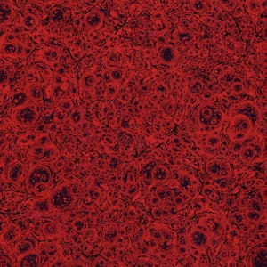 Papel rojo jaspeado a mano para restauración y encuadernación 48 x 67 cm 19 x 26 in f486
