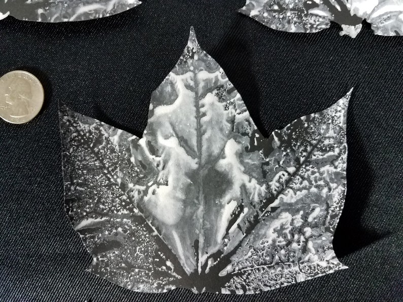 leaf white handmade cardstock 2-5 painted scrapbooking hand cut unique craft Arts set decoupage crafts cutout black Textured