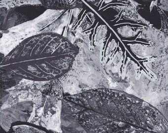 May include: Abstract art print featuring a black and white design of leaves. The leaves are layered and overlapping, creating a sense of depth and texture.