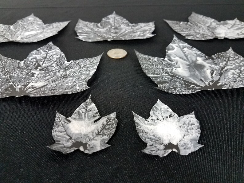 leaf white handmade cardstock 2-5 painted scrapbooking hand cut unique craft Arts set decoupage crafts cutout black Textured