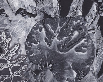 May include: Black and white abstract art print with a leaf shape and a textured background.
