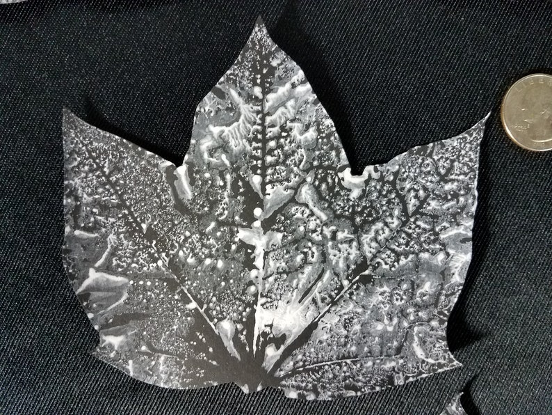leaf white handmade cardstock 2-5 painted scrapbooking hand cut unique craft Arts set decoupage crafts cutout black Textured