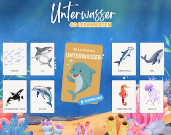 May include: A set of educational flashcards with illustrations of marine animals. The cards feature images of fish, sharks, dolphins, and other sea creatures. The set is titled "Underwater" and includes the text "40 Lernkarten".