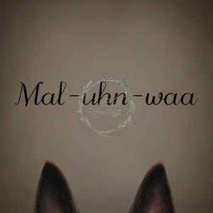 Belgian Malinois - Mal-Uhn-Waa  - Dog Art Print #BM04