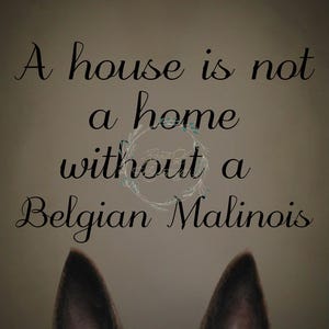 Belgischer Malinois - Haus ist kein Zuhause - Hund Kunstdruck #BM03