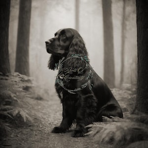 Cocker Spaniel Kunst - Vintage Foto-Stil - Schöner Kunstdruck - #CS03