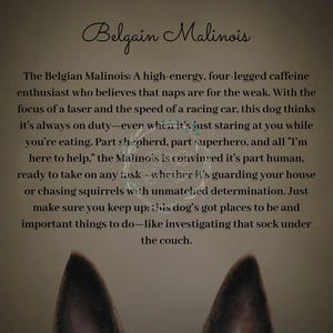 Belgian Malinois - Funny Energy Quote  - Dog Art Print #BM05