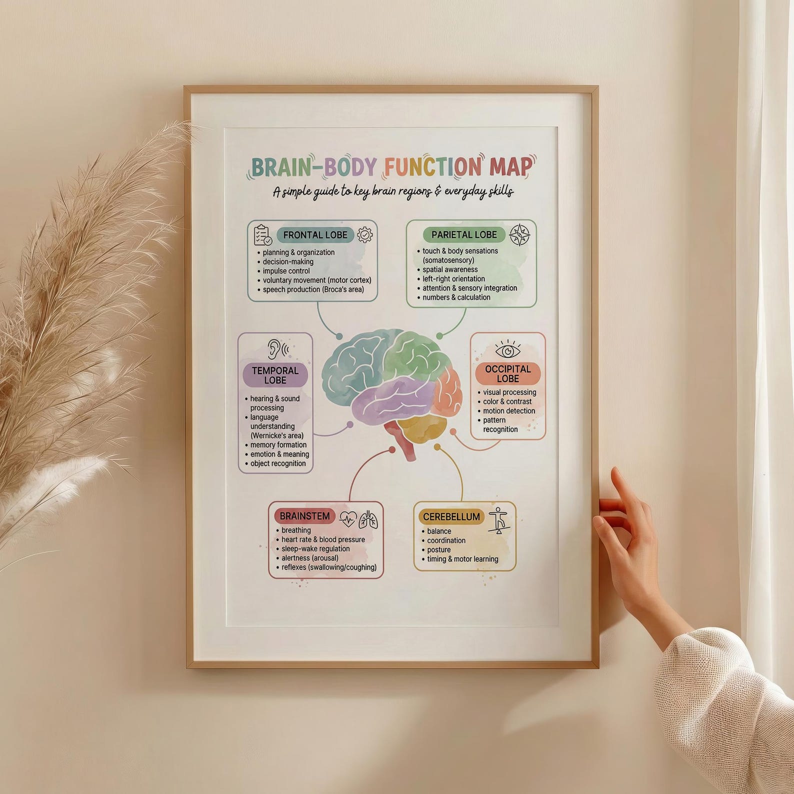 Mind-body Brain Map Poster, Brain Anatomy Print, Neuroscience Wall Art ...