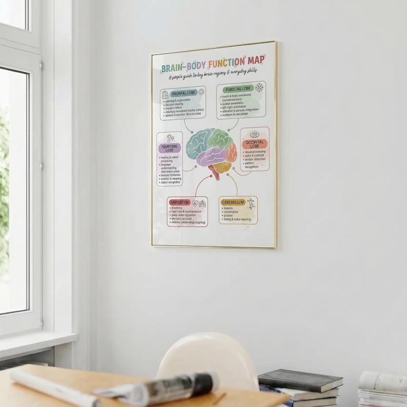 Mind-body Brain Map Poster, Brain Anatomy Print, Neuroscience Wall Art ...