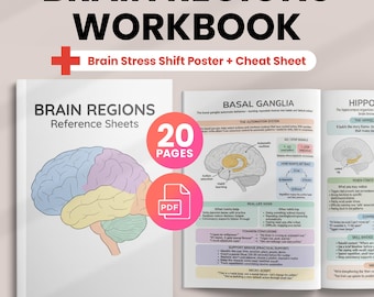 20 Brain Regions Info Sheets - Brain Areas & Functions Quick Reference, Neuroscience Cheat Sheet + Poster, Neuropsychology Worksheets