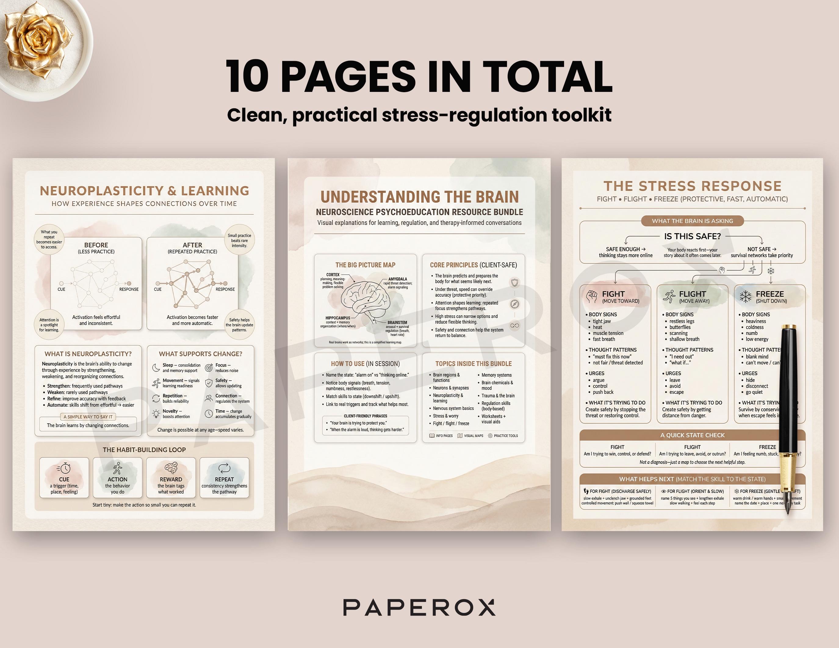 Understanding the Brain: Stress Management Resource Bundle & Coping ...