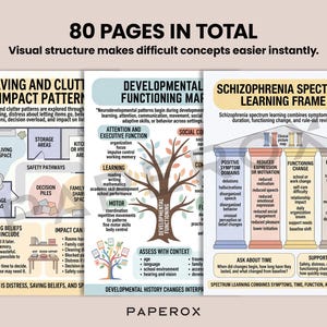 Puede incluir: Tres p&oacute;steres educativos titulados 80 PAGES IN TOTAL, que presentan diagramas sobre patrones de acumulaci&oacute;n, funcionamiento del desarrollo y un marco de aprendizaje del espectro de la esquizofrenia con gr&aacute;ficos.