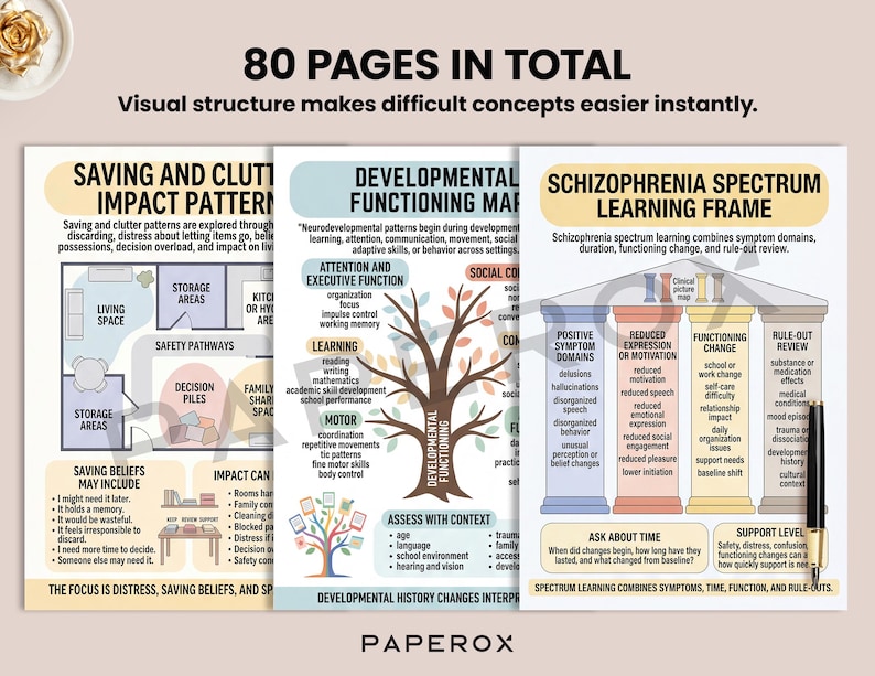 Puede incluir: Tres p&oacute;steres educativos titulados 80 PAGES IN TOTAL, que presentan diagramas sobre patrones de acumulaci&oacute;n, funcionamiento del desarrollo y un marco de aprendizaje del espectro de la esquizofrenia con gr&aacute;ficos.