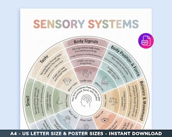 May include: A colorful educational poster titled "Sensory Systems" with a circular diagram illustrating the senses. The poster includes text and diagrams explaining taste, smell, body signals, and balance. It is available in A4, US Letter, and poster sizes.