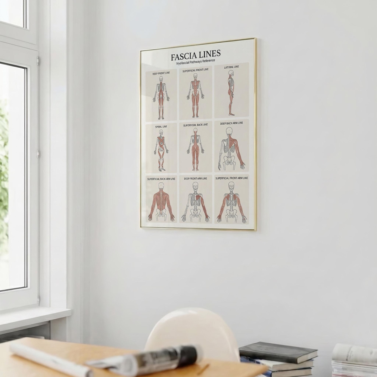 Line Rascetta Anatomy Fascia Lines Anatomy Poster Printable, Myofascial Lines Chart ...