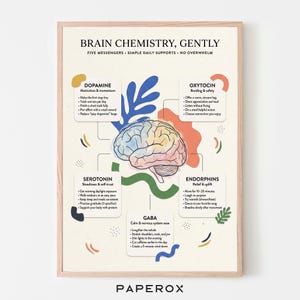 May include: A framed poster titled "Brain Chemistry, Gently" with text and illustrations about brain function and well-being. The poster includes information on dopamine, oxytocin, serotonin, endorphins, and GABA, with a brain graphic in the centre.