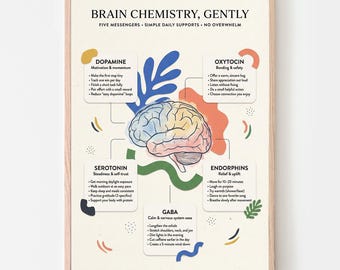Poster sulle sostanze chimiche del cervello felice / Dopamina, serotonina, ossitocina, endorfine / Infografica stampabile per la cura di sé e la salute mentale