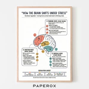 Puede incluir: Una impresión enmarcada titulada "How the Brain Shifts Under Stress" con un diagrama de un cerebro dividido en tres secciones: modos de pensamiento, emoción y supervivencia. La impresión incluye texto que explica cada modo y cómo manejar el estrés.