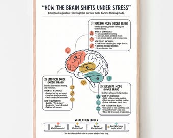 Op de afbeelding: Een ingelijste print getiteld "How the Brain Shifts Under Stress" met een diagram van een brein verdeeld in drie secties: denk-, emotie- en overlevingsmodi. De print bevat tekst die elke modus uitlegt en hoe om te gaan met stress.