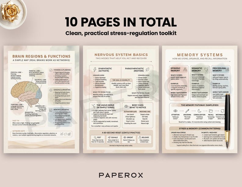 May include: Three educational posters detailing brain functions, nervous systems, and memory. The posters are titled "10 PAGES IN TOTAL" and "Clean, practical stress-regulation toolkit." A pen is placed on the right-hand poster. Measurements are not applicable.