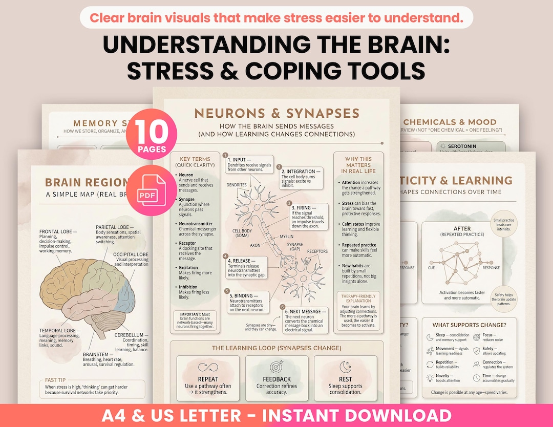 Understanding the Brain: Stress Management Resource Bundle & Coping ...