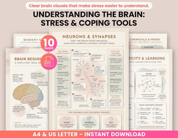 Understanding the Brain: Stress Management Resource Bundle & Coping Tools, Psychoeducation Posters, Nervous System, Window of Tolerance PDF