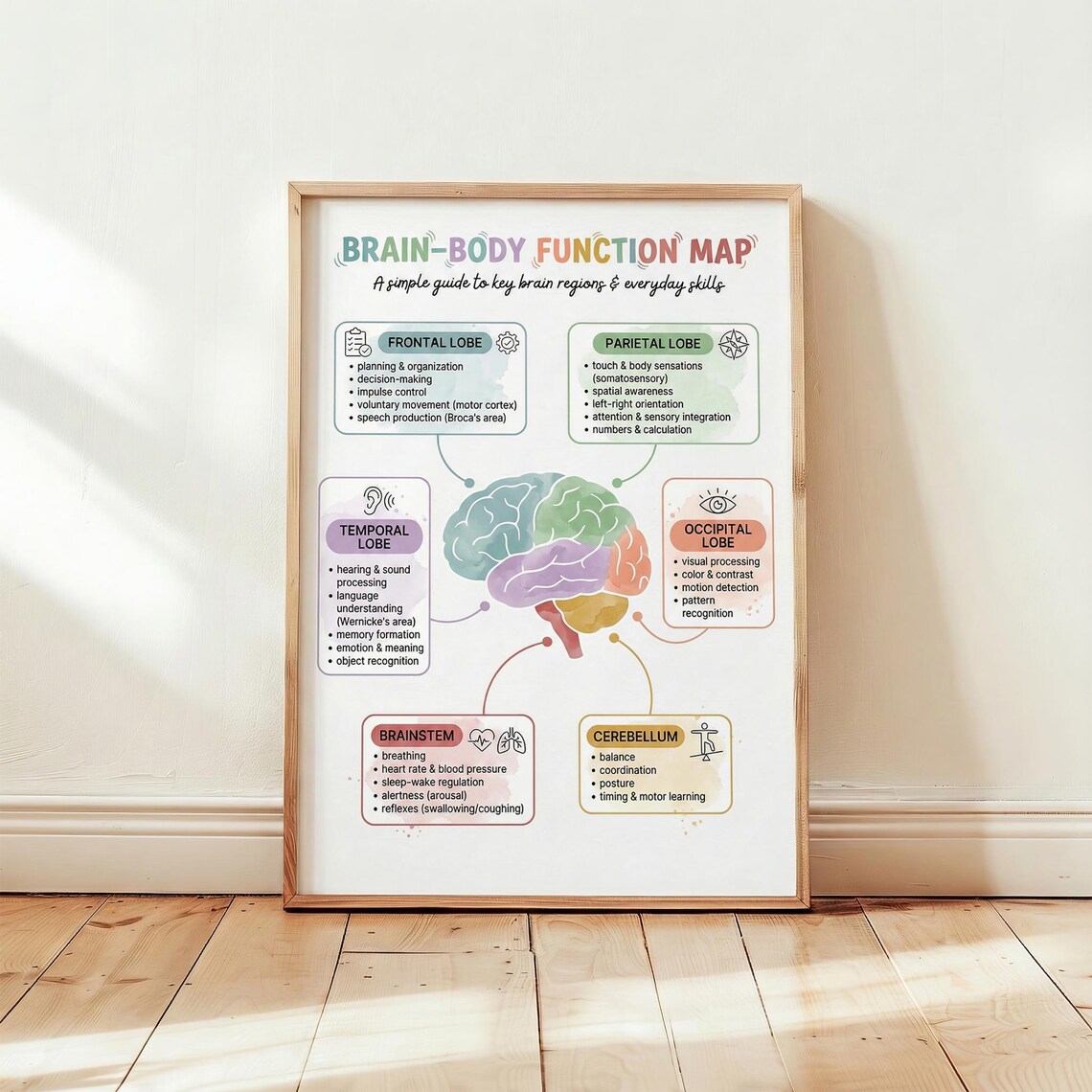 Mind-body Brain Map Poster, Brain Anatomy Print, Neuroscience Wall Art ...